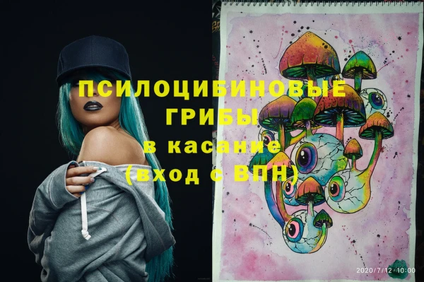 дурь Липки