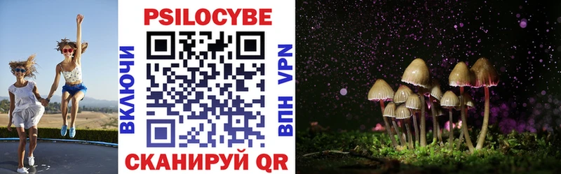 Псилоцибиновые грибы прущие грибы  Купить где  Кирс 
